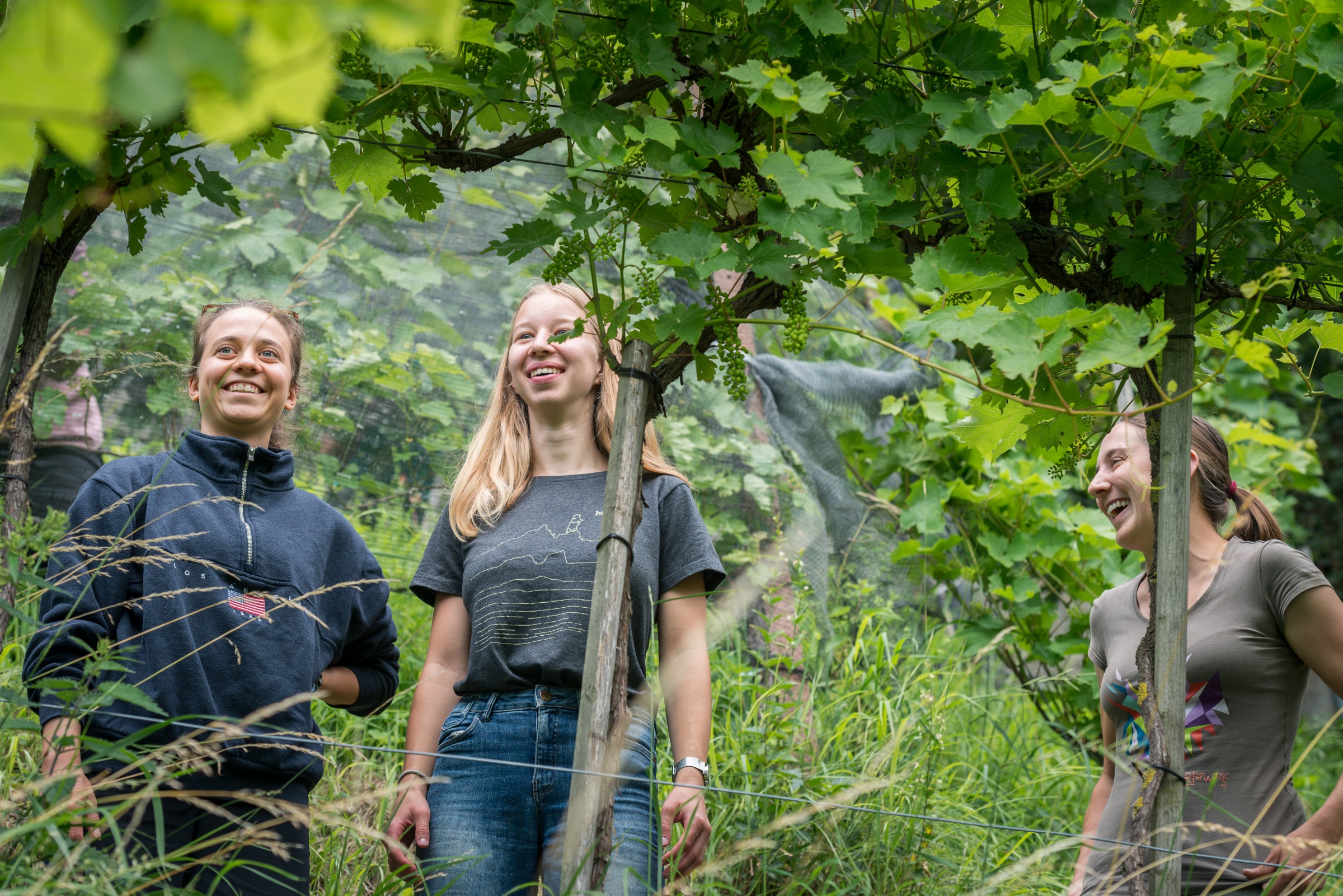WWF Natureinsatz in Thal / 24.06.2026 